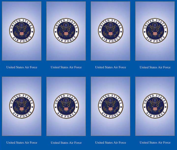 United States Air Force