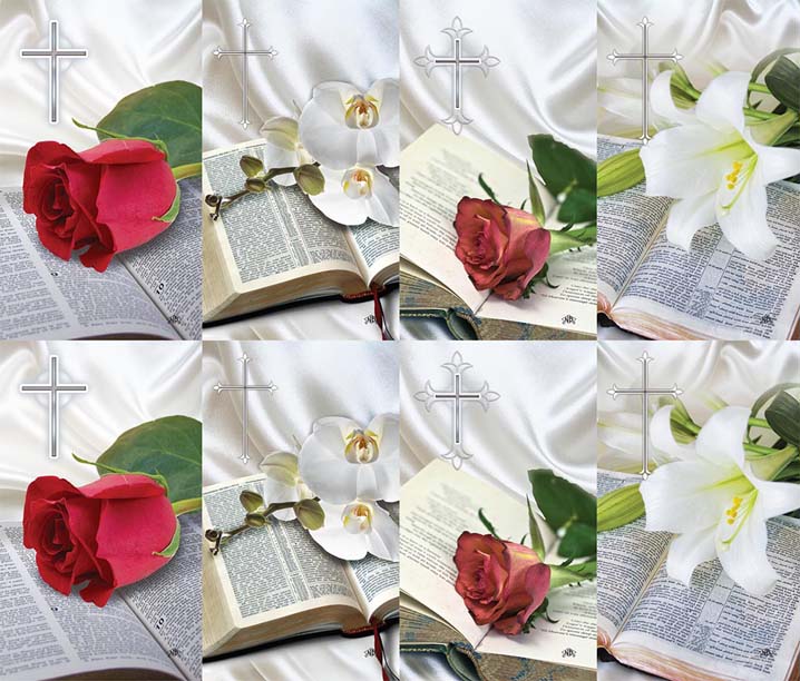 Bible Rose