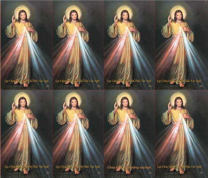 Divine Mercy Vietnamese Prayer Cards