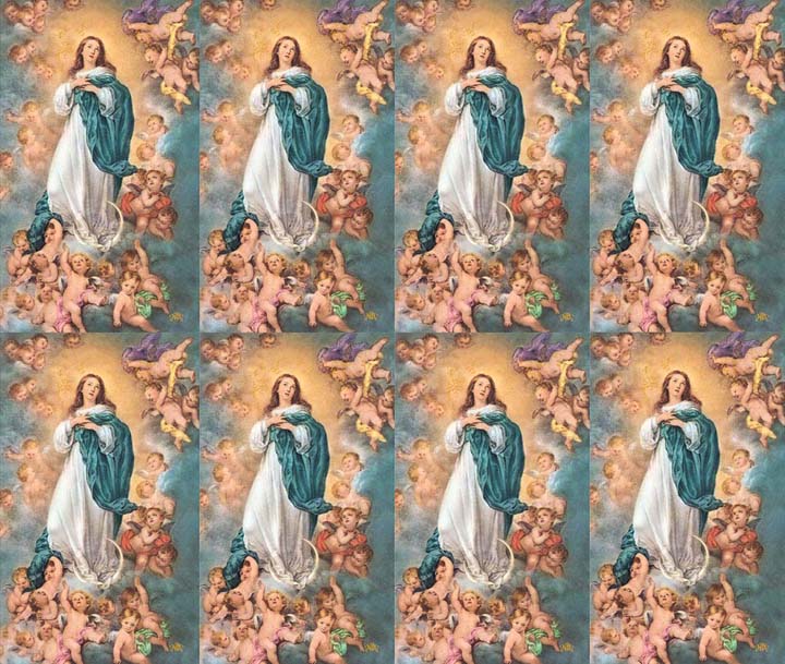 Immaculate Conception Prayer Cards