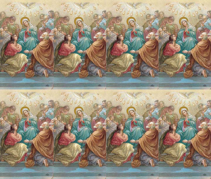 Queen of The Apostles