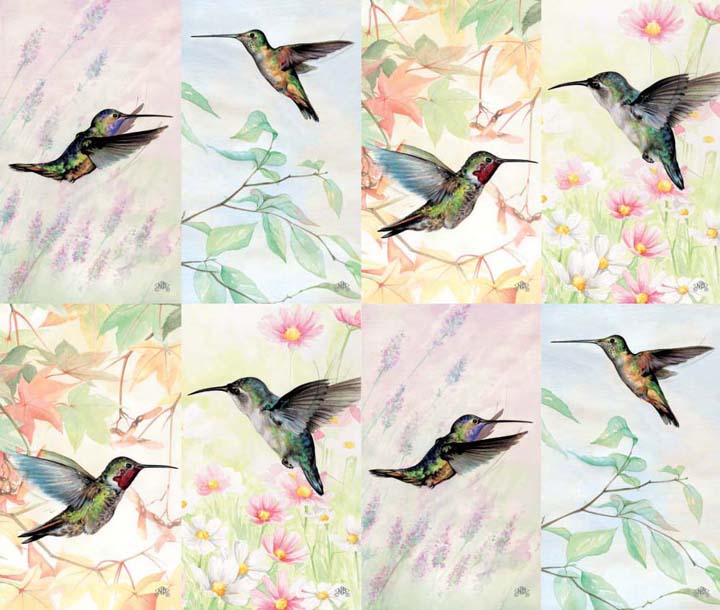 Wings Humming Birds