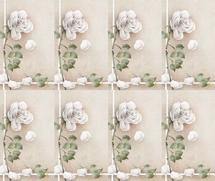 White Rose