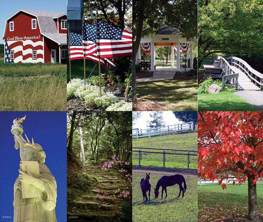Americana