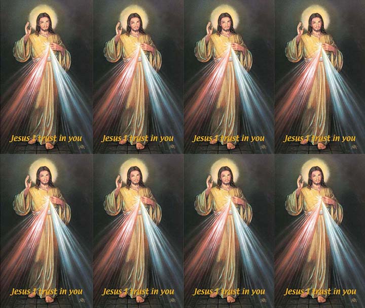 Micro Perfed Divine Mercy English Language | Memorial Prayer Cards | 8-up Micro ...