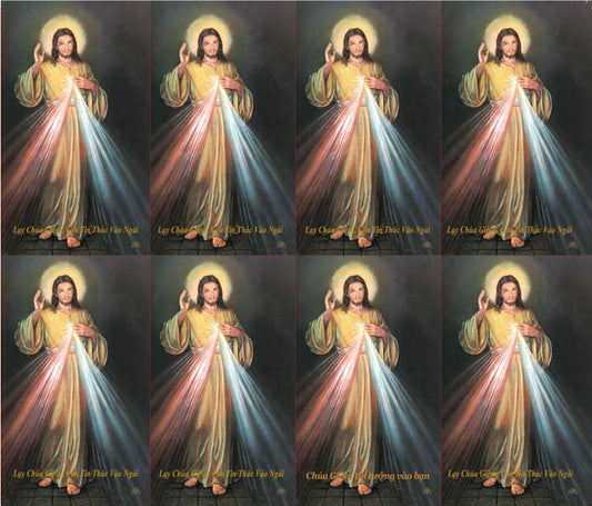 Divine Mercy Vietnamese Prayer Cards