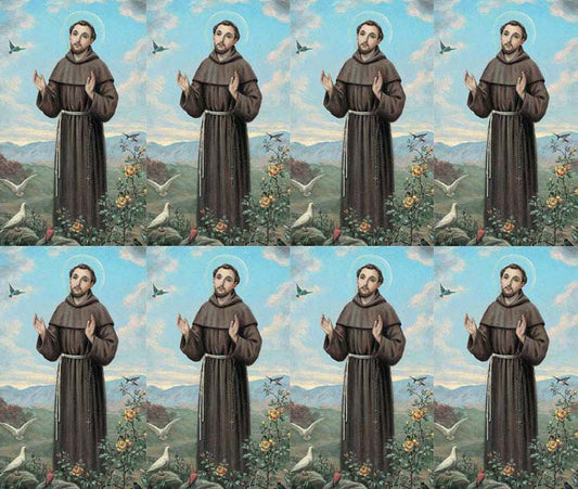 Saint Francis of Assisi