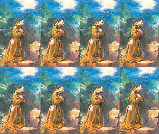 Saint Francis Assisi Prayer Cards