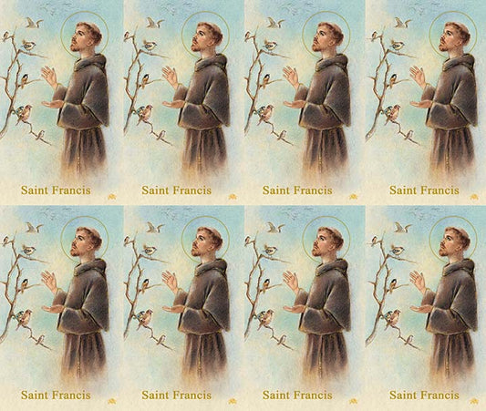 Saint Francis Assisi