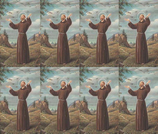 Saint Francis of Assisi Prayer Cards