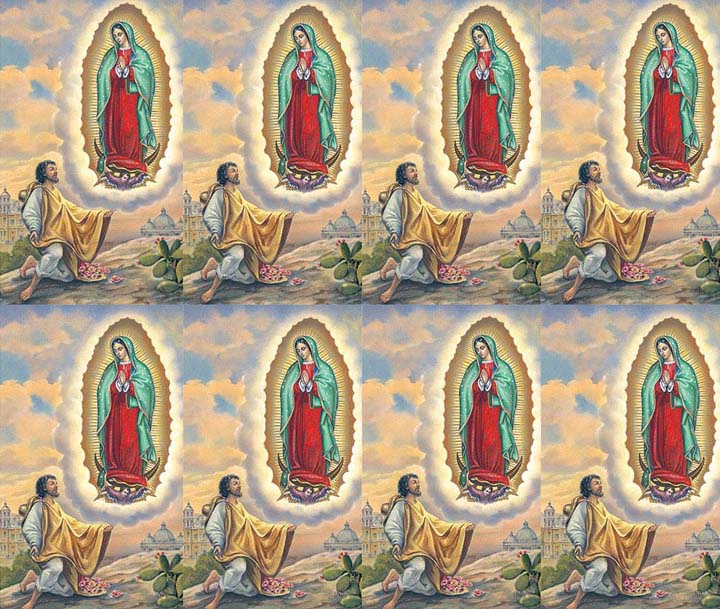 Micro Perfed Our Lady of Guadalupe with Diego | Memorial Prayer Cards | 8-up Micro ...