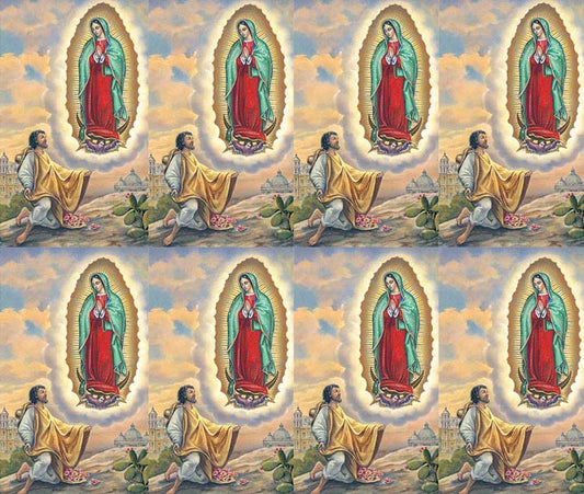 Our Lady of Guadalupe with Diego