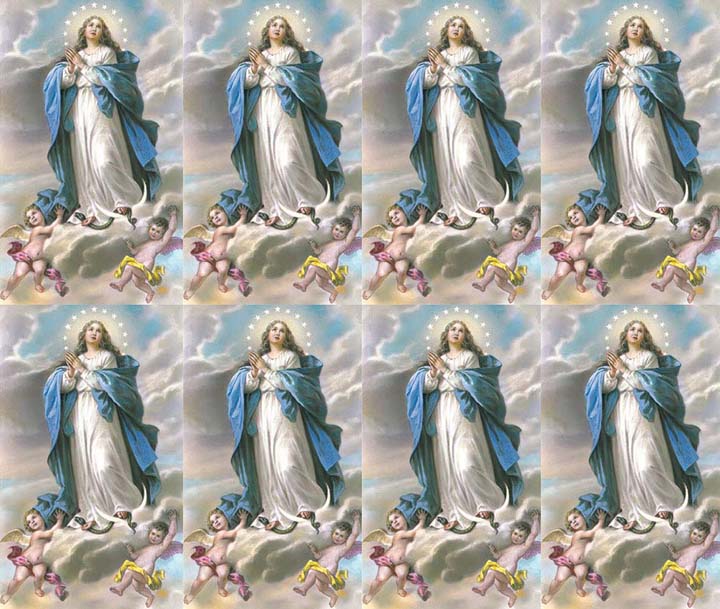 Immaculate Conception Prayer Cards