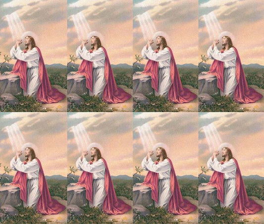 Jesus Praying  Gethsemane