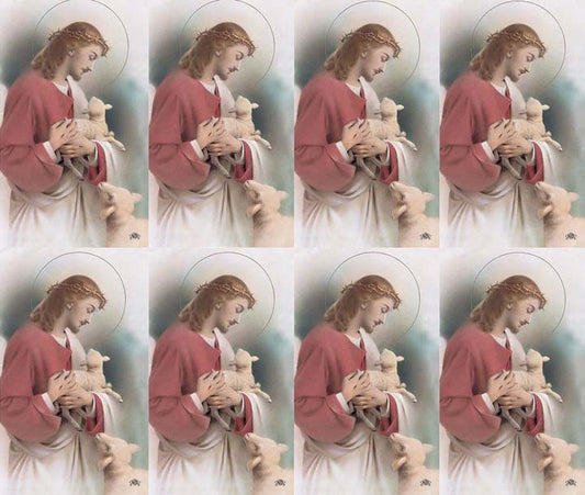 Lost Lamb Good Shepherd