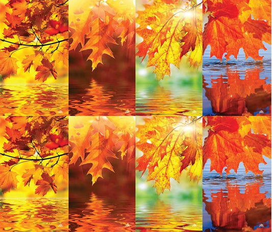Leaves