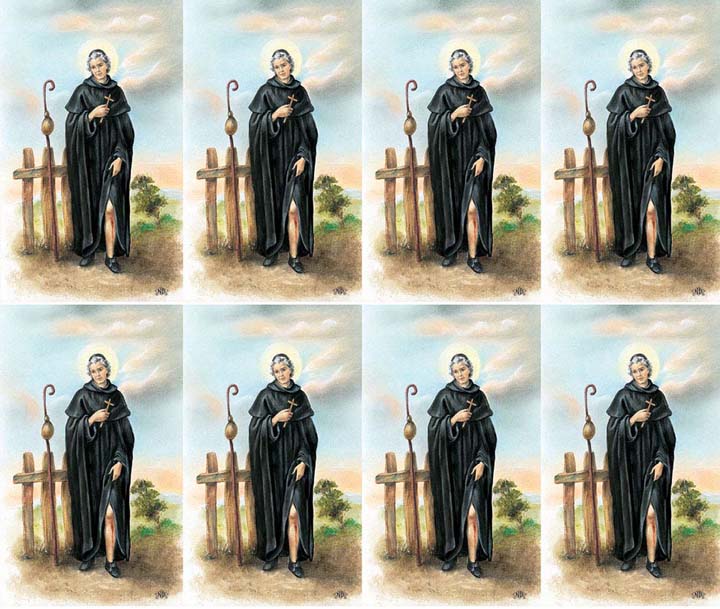 Saint Peregrine