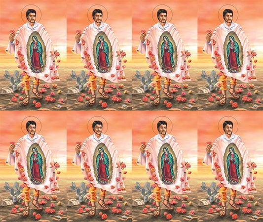 Saint Juan Diego