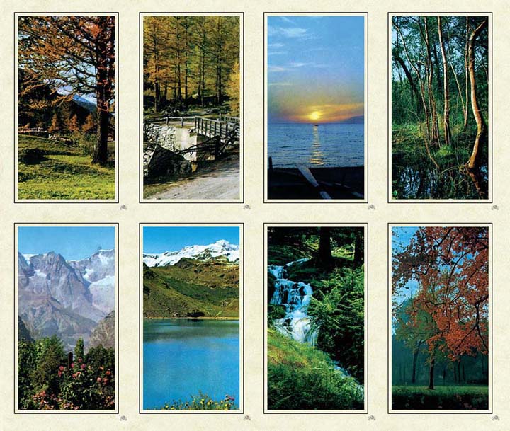 Micro Perfed Vista | Memorial Prayer Cards | 8-up Micro-Perfed Prayer Cards ...